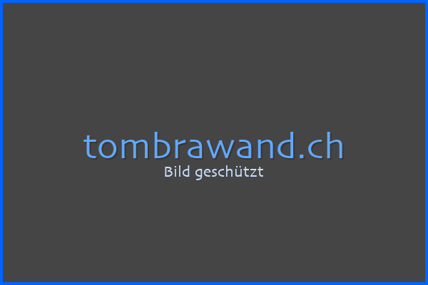 Vorschau der Website Schmidkunst